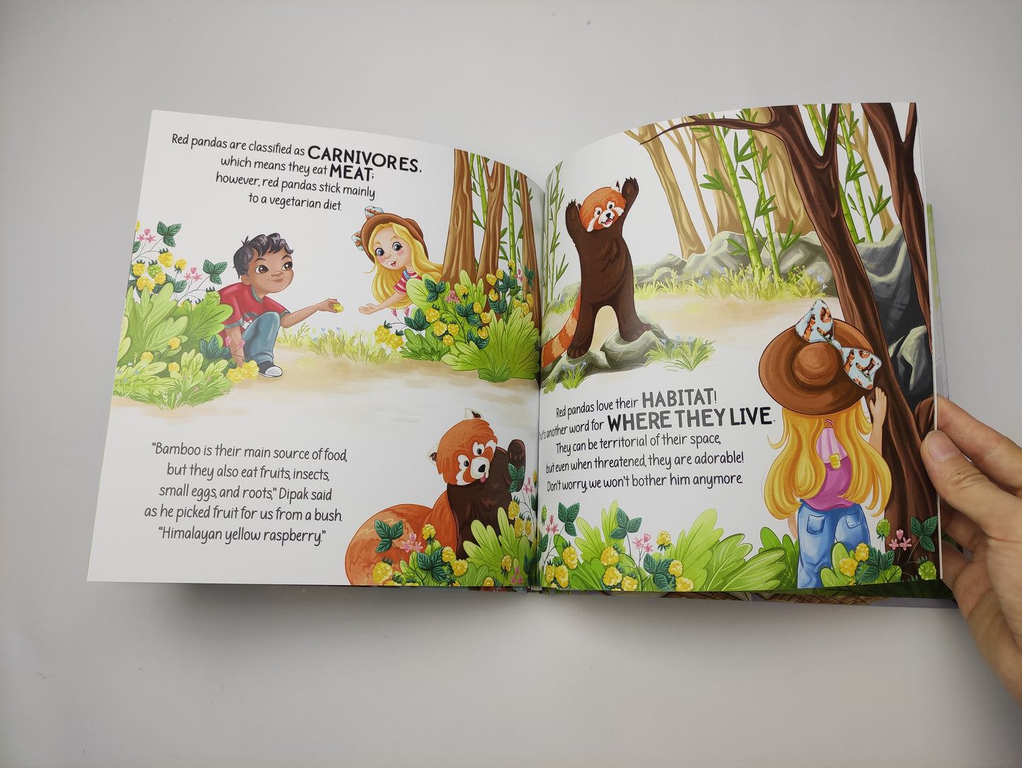 Charli Safari Red Panda Hardcover Book