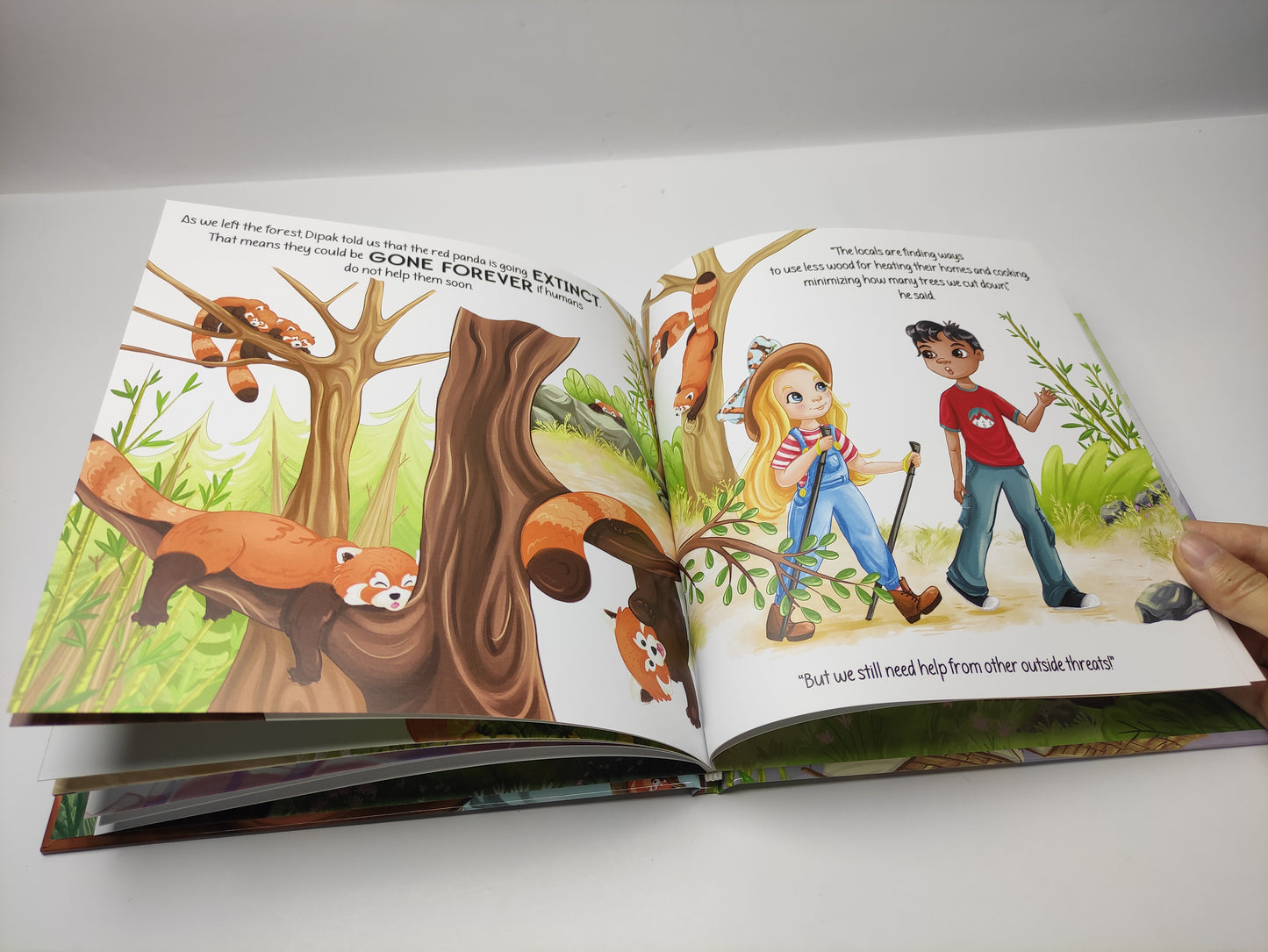 Charli Safari Red Panda Hardcover Book