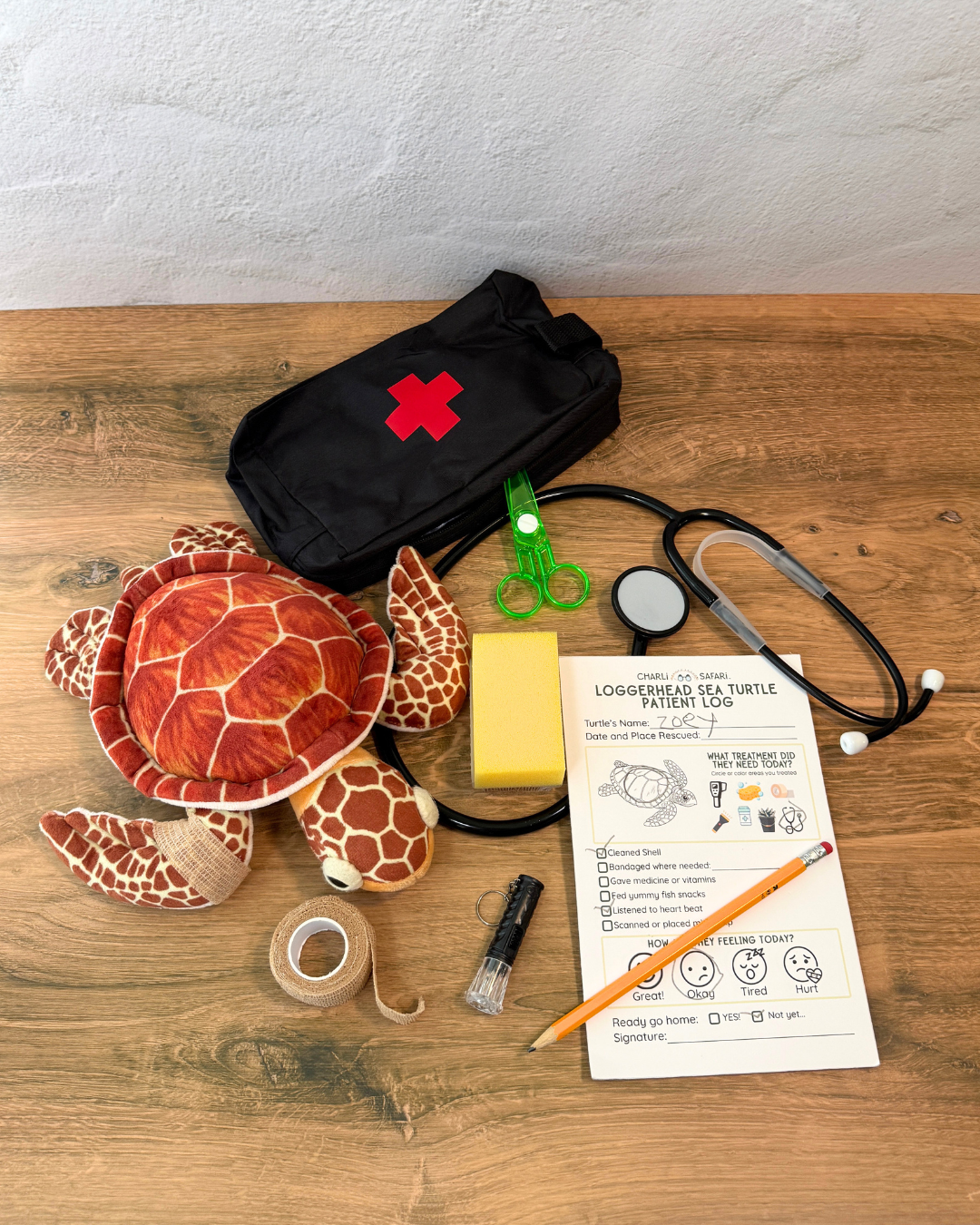 Charli Safari: Loggerhead Rescue Mission Gift Box