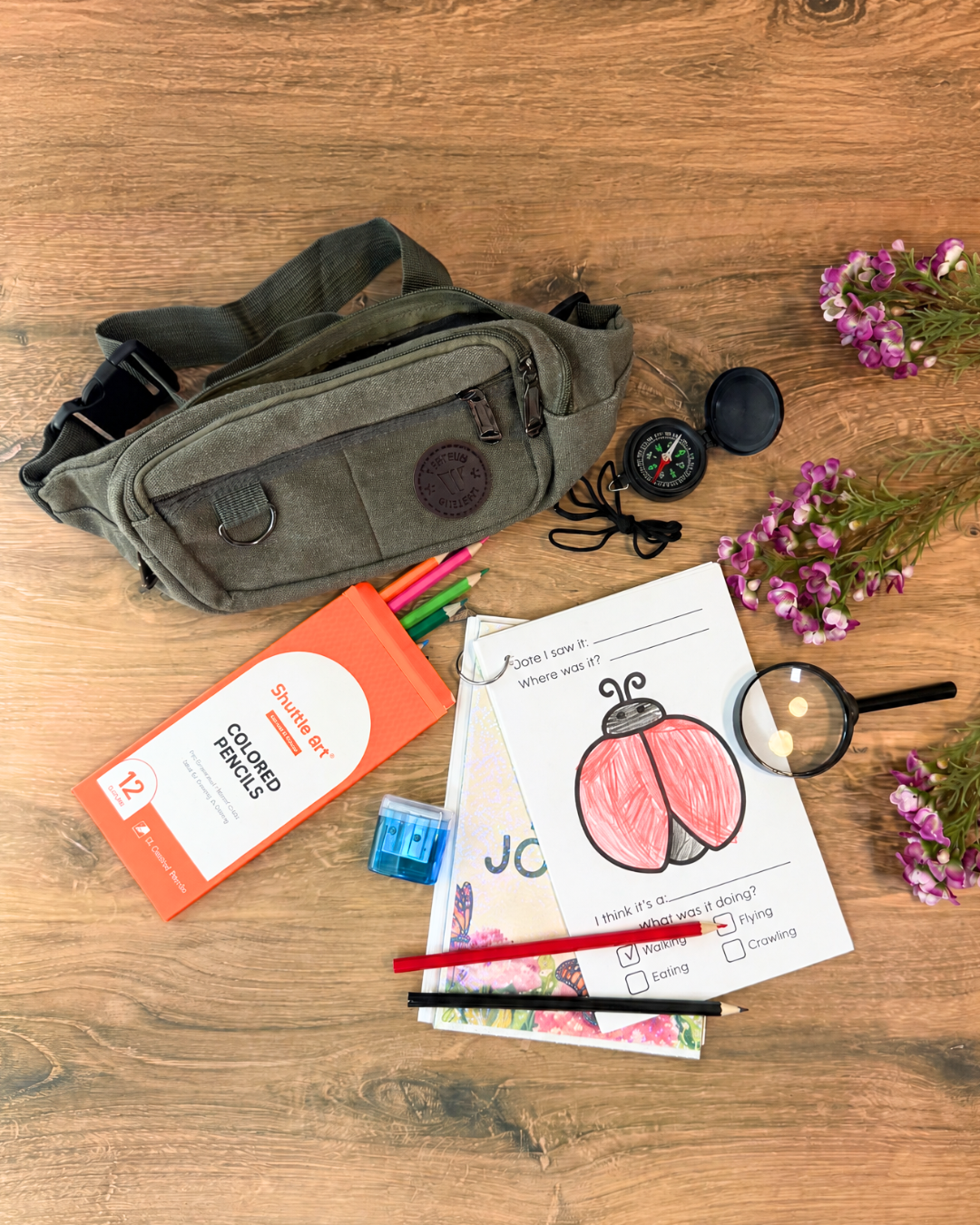 Charli Safari: Monarch Investigation Kit